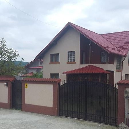 Vila De Vacanta Curtea de Argeş 外观 照片