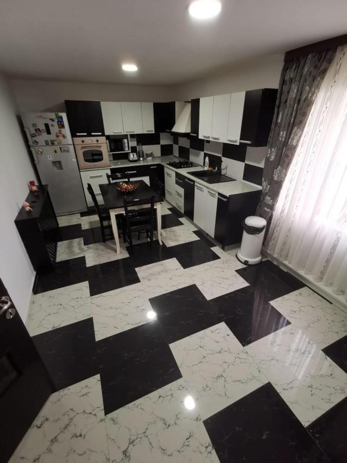 Vila De Vacanta Curtea de Argeş 外观 照片