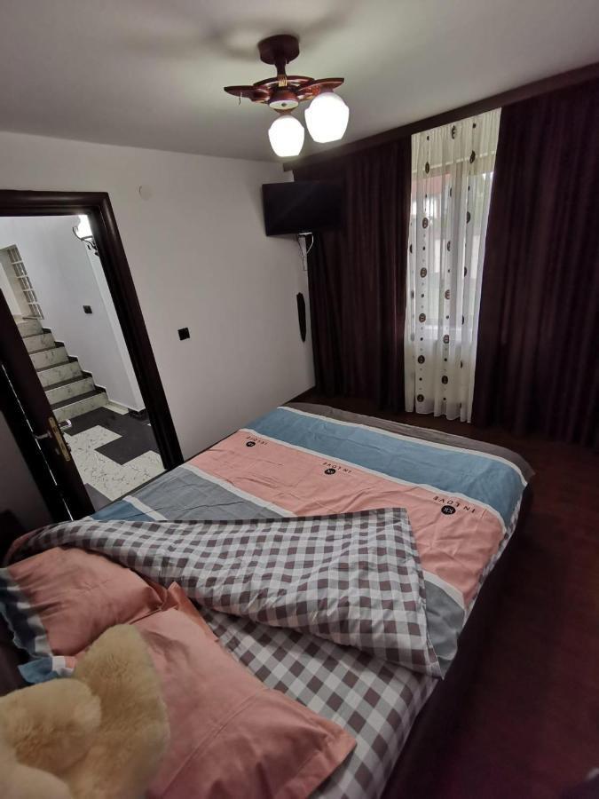 Vila De Vacanta Curtea de Argeş 外观 照片