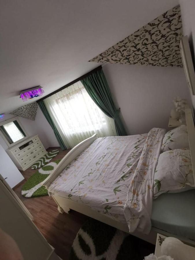 Vila De Vacanta Curtea de Argeş 外观 照片