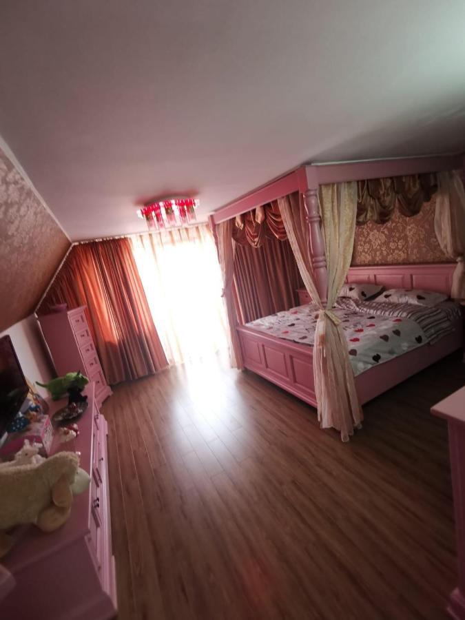 Vila De Vacanta Curtea de Argeş 外观 照片