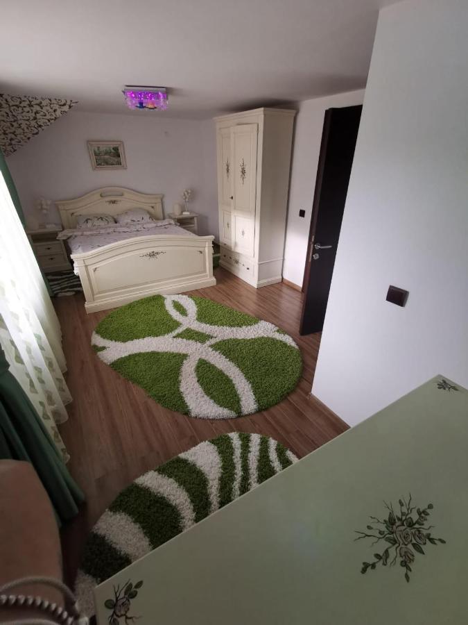 Vila De Vacanta Curtea de Argeş 外观 照片