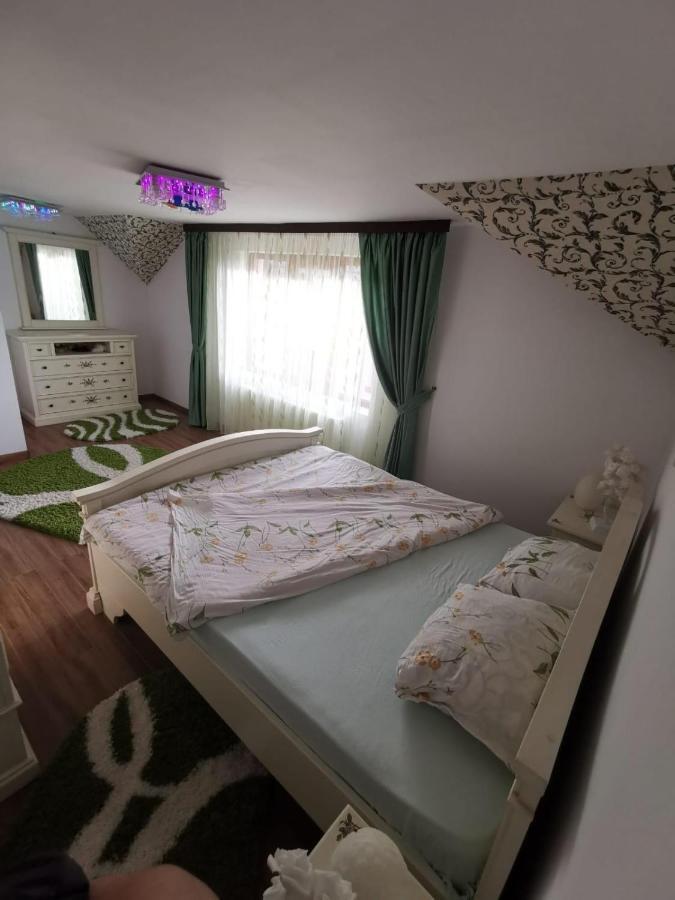 Vila De Vacanta Curtea de Argeş 外观 照片