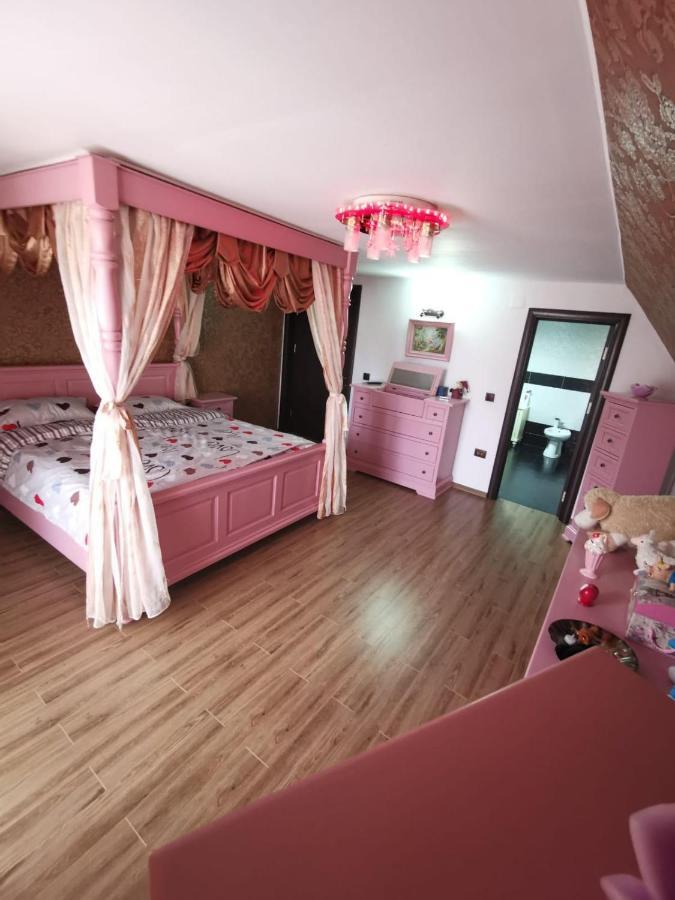 Vila De Vacanta Curtea de Argeş 外观 照片