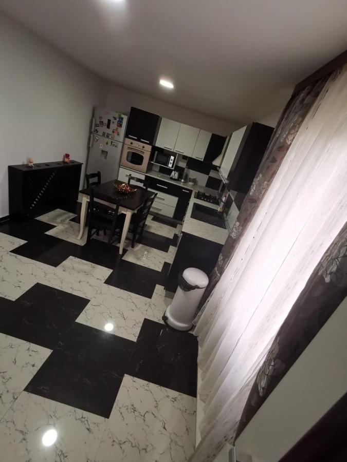 Vila De Vacanta Curtea de Argeş 外观 照片