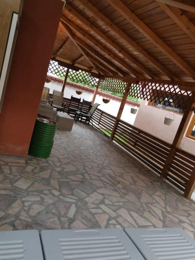 Vila De Vacanta Curtea de Argeş 外观 照片