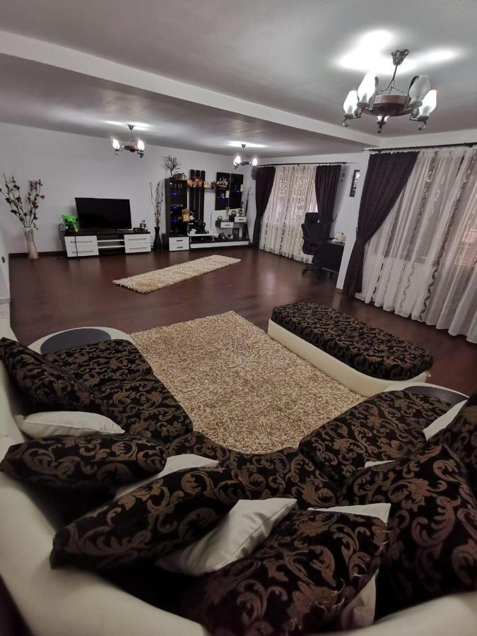Vila De Vacanta Curtea de Argeş 外观 照片