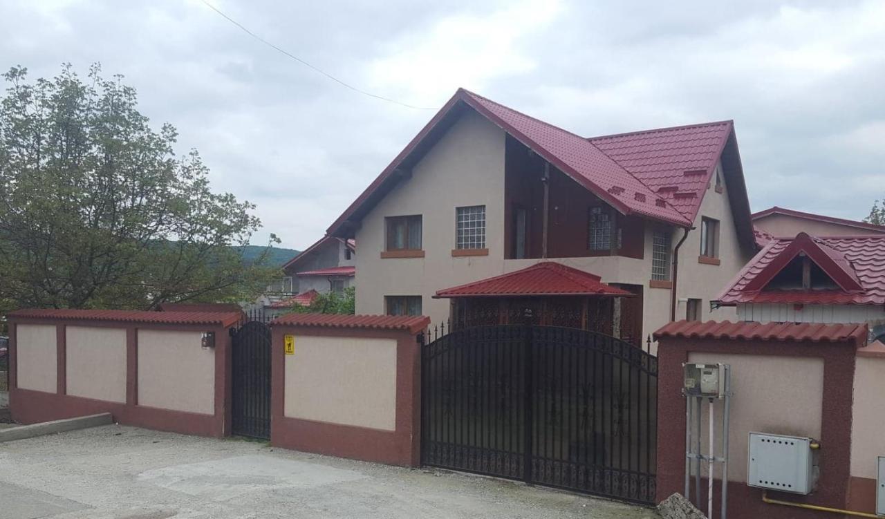 Vila De Vacanta Curtea de Argeş 外观 照片